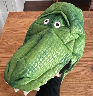 디즈니 팬캡 렉스