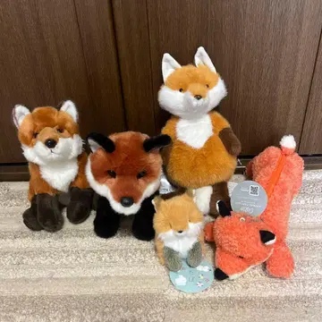 여우 봉제 인형 5종