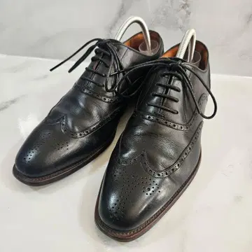 스코치 그레인 드레스 신발 윙팁 H9041 블랙 25cm