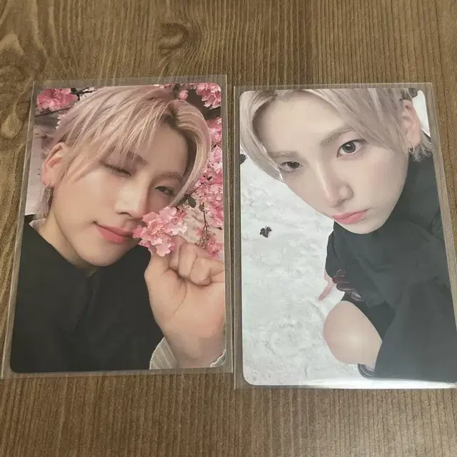 앤팀 유마 유키아카리 앨범 포토카드 포카 유니버셜 특전 양도합니다!