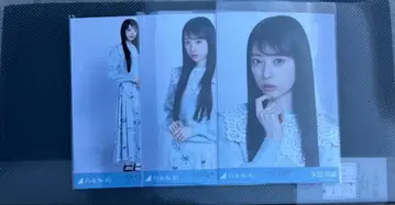 노기자카46 야타 모에카 카라 부착 코디 컴프