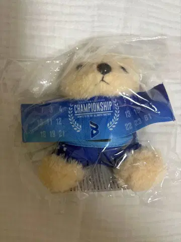 오사카 블루테온 히로시마 썬더스 에구치 모토키 유니폼 베어 한정판