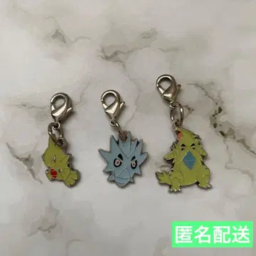 익명 배송 포켓몬 전국도감 메탈참 요가랑 사마자르 번치코