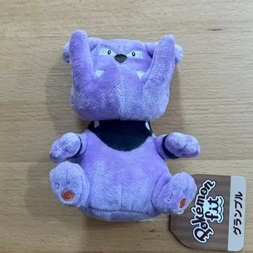 포켓몬 pokemon fit 그랑블 택 포함