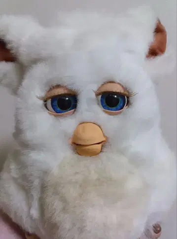 퍼비2 슈가 스노우 영어 배터리 덮개 없음