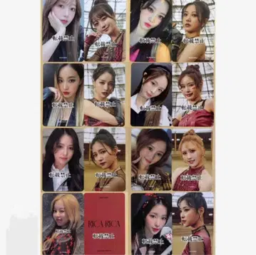 NATURE RICARICA 트레이딩 카드 15종 컴프 세트