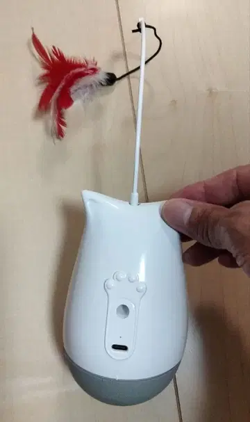 CAT TEASING TOYS 페더 포함