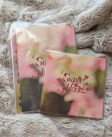 앙스타 스타포니 팜플렛 클리어 파일 특전 별책 세트