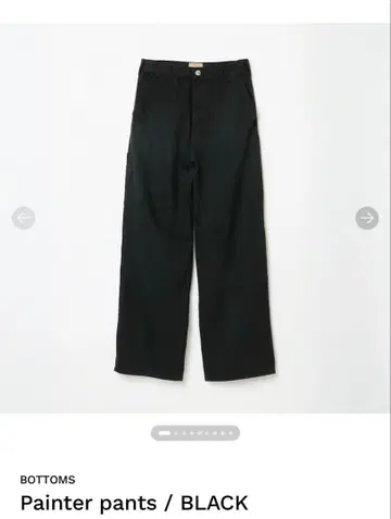 SHISHIKUI Painter pants / BLACK 34