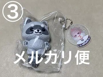 MoMo momo 스퀴즈 동물 애니멀 아라이 너구리