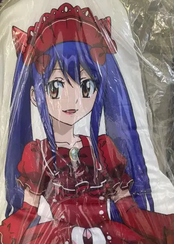 페어리테일 abema 복권 거의 등신대 다이컷 쿠션 웬디