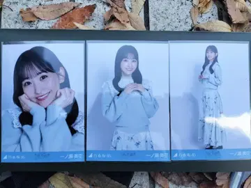 이치노세 미쿠 카라 부착 코디 브로마이드 컴프