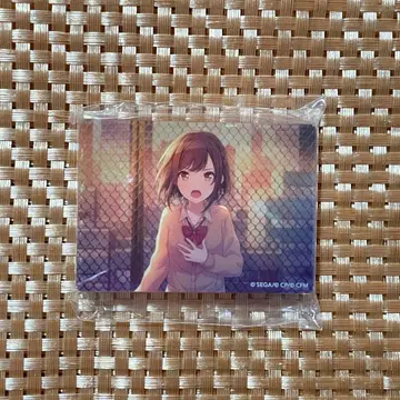 프로세카 노블 아트 vol.27 시노노메 에나