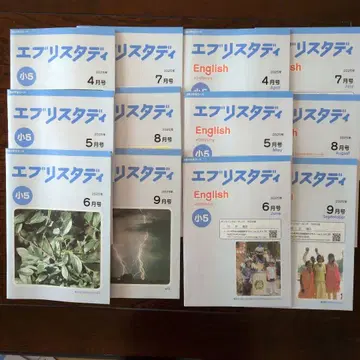 Z 초5 에브리 스터디 [ 2025년 4월~9월 5과목 ]