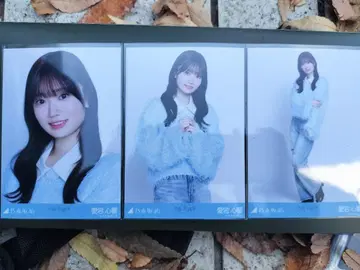 아타고 코쿄 카라 부착 코디 브로마이드 컴프