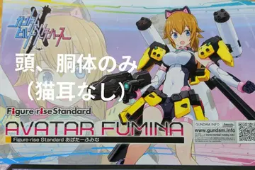 Figure-rise Standard 아바타 후미나 머리, 몸통 부품