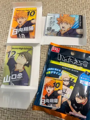 히나타 쇼요 시크릿 야마구치 타다시 아크릴 블록