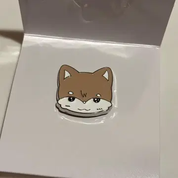 NEXZ jyp popup 소곤 so geon 핀배치