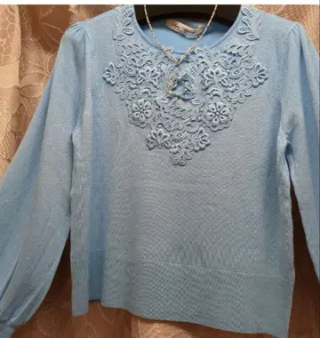 슈퍼 뷰티, 아비에스테 스카이블루 자수 니트 희소 44