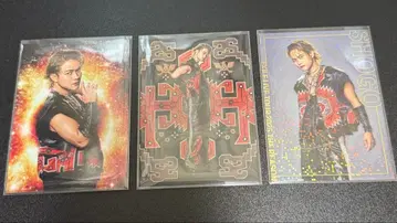 EXILE THE REASON 이와타니 쇼고 포토 카드