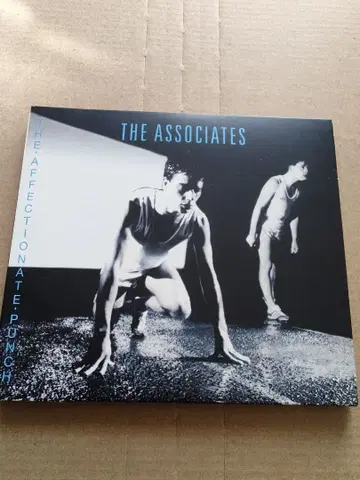 ASSOCIATES / THE AFFECTIONATE PUNCH 리마스터