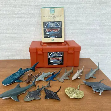SHARKS OF THE WORLD 피규어 세트