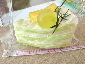 스퀴즈 / 멜론 크레이프형 (미사용)