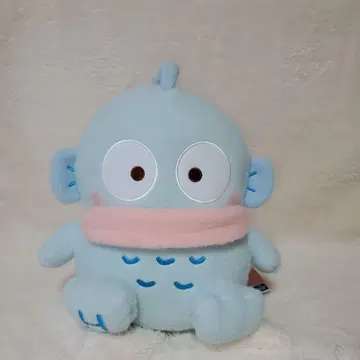 한교동 봉제 인형