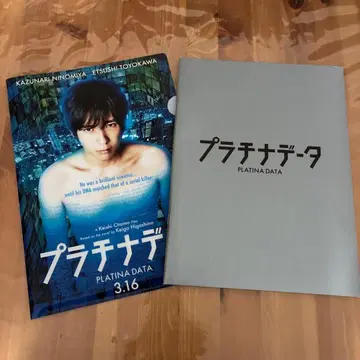 플라티나 데이터 팜플렛