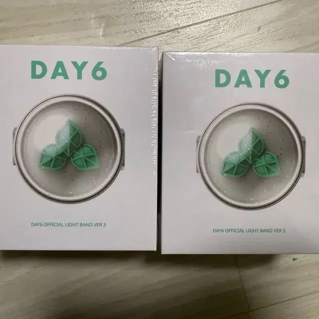 DAY6 공식 응원봉 Ver.3 데이식스