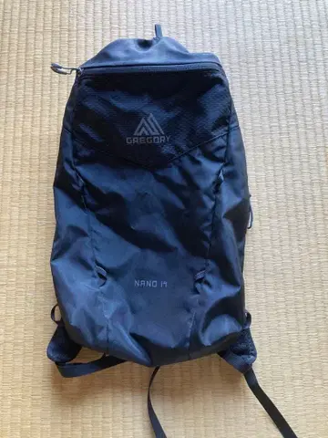 GREGORY 백팩 '나노14'