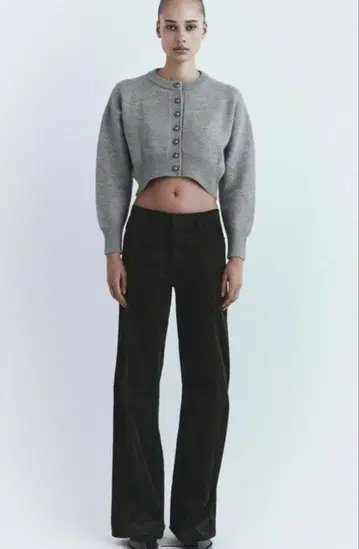 Zara 크롭 니트 가디건