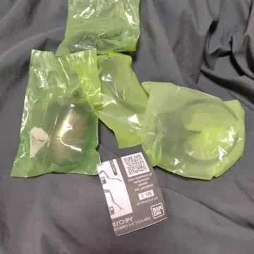 미사용 익명 배송 생물대도감 어드밴스 코카서스장수풍뎅이 자바섬