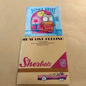SHERBETS 새상품, 미개봉 CD 아사이 켄이치