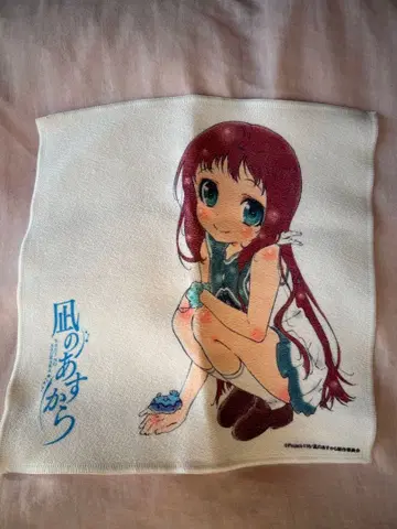 나기아스 마나카 타월 손수건