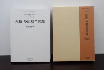 원색 겨울 곤충 여름 풀 도감 시미즈 다이텐 세이분도신코