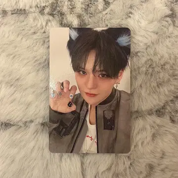 treasure 요시 라이브 회장 한정판