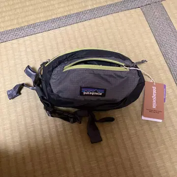Patagonia 미니 힙 팩