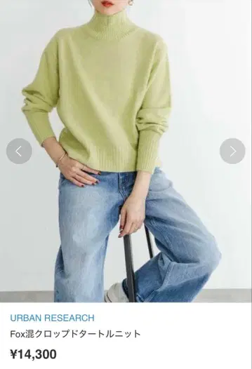 URBAN RESEARCH 폭스 혼 크롭 터틀 니트 양모 폭스