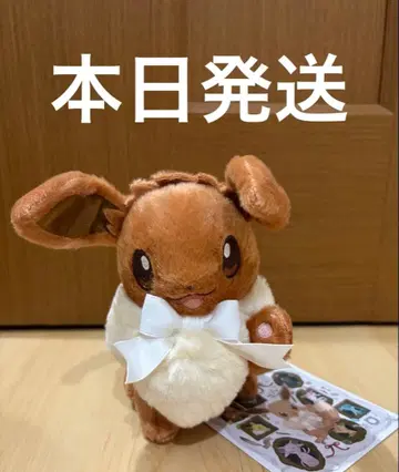 이브이 컬렉션 Eevee Collection 봉제 인형 이브이
