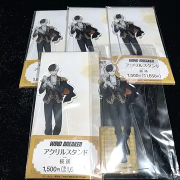 WIND BREAKER 윈브레 벚꽃 아크릴 스탠드