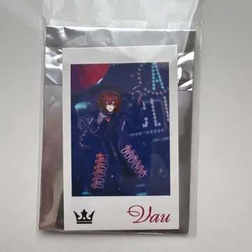 바우군 포토 카드 3장 세트