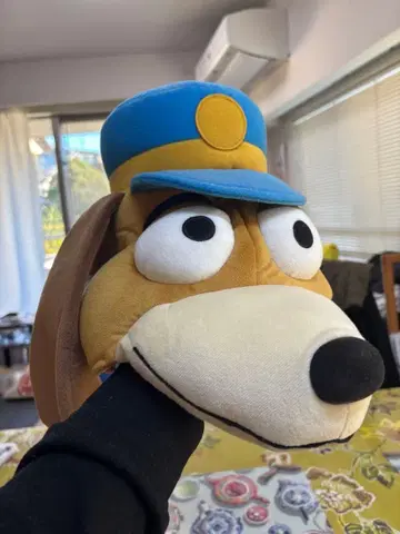 강아지 캐릭터 모자