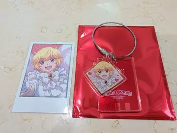 하코네 유키 신발장 나무 패 모양 아크릴 키링