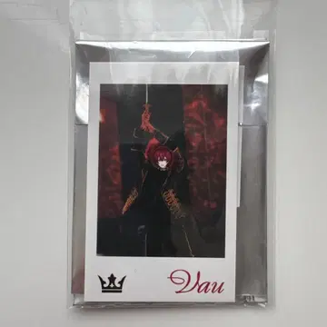 바우군 포토 카드 3장 세트