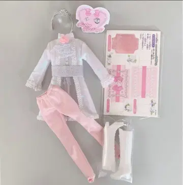 미사용 꿈꾸는 공주님 로얄 웨딩 하르토 군 의류 왕자님 리카짱