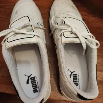 Puma 축구화 화이트