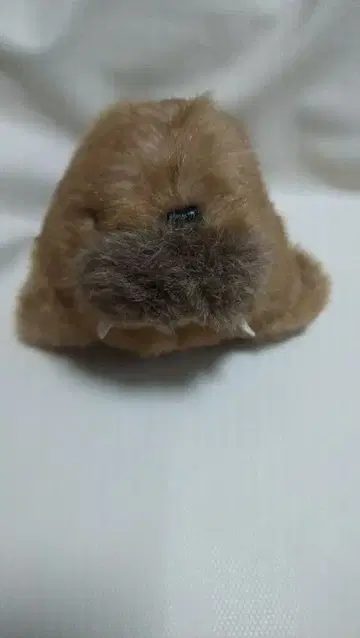 ALFA 알파 바다코끼리 봉제 인형 레트로 초레어 코774