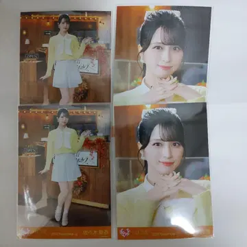 이코럽 사사키 마이카 브로마이드 나뭇잎 사이 햇살 메조포르테 세미 컴프