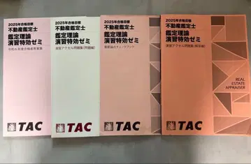2025년 TAC 부동산 감정사 감정 이론 연습 특효 세미 (4권 세트)